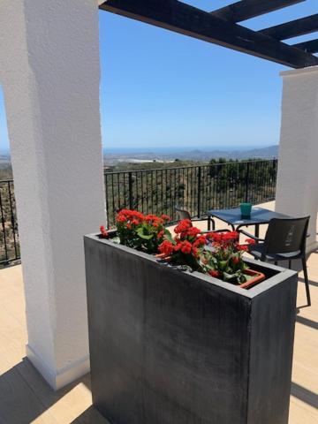 Casa Bedar Bed and Breakfast Buitenkant foto